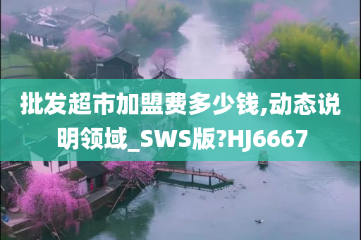 批发超市加盟费多少钱,动态说明领域_SWS版?HJ6667