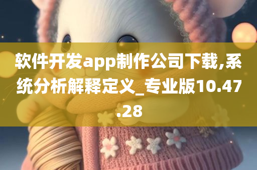 软件开发app制作公司下载,系统分析解释定义_专业版10.47.28