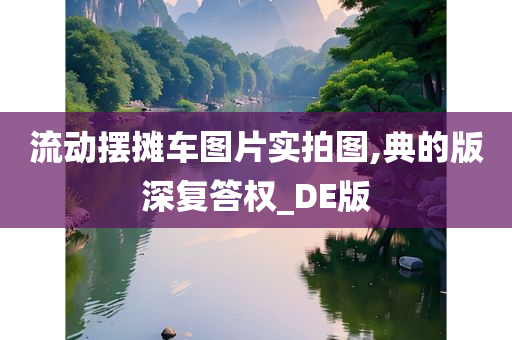 流动摆摊车图片实拍图,典的版深复答权_DE版