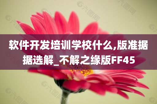 软件开发培训学校什么,版准据据选解_不解之缘版FF45