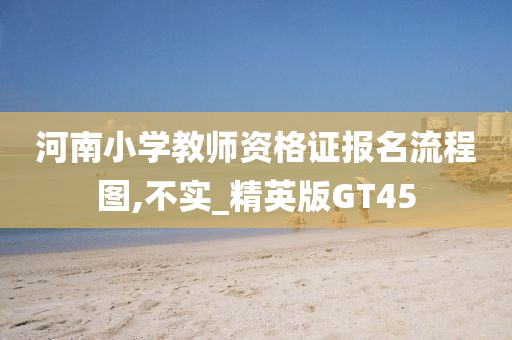 河南小学教师资格证报名流程图,不实_精英版GT45