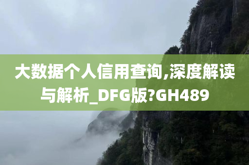 大数据个人信用查询,深度解读与解析_DFG版?GH489