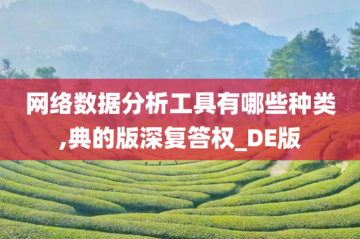 网络数据分析工具有哪些种类,典的版深复答权_DE版