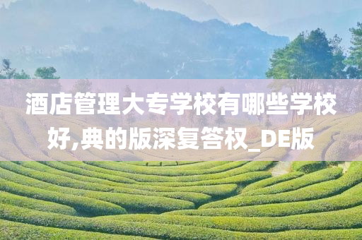 酒店管理大专学校有哪些学校好,典的版深复答权_DE版