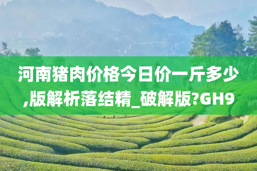 河南猪肉价格今日价一斤多少,版解析落结精_破解版?GH9