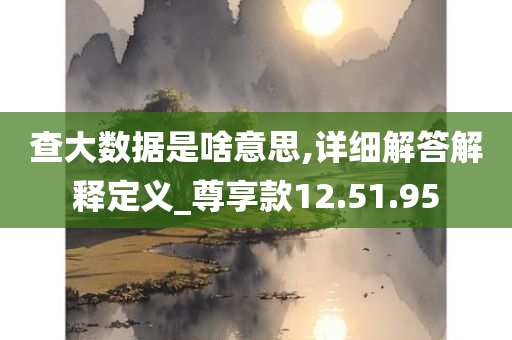 查大数据是啥意思,详细解答解释定义_尊享款12.51.95