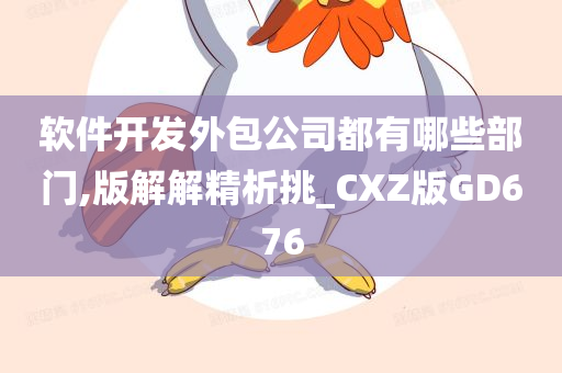 软件开发外包公司都有哪些部门,版解解精析挑_CXZ版GD676