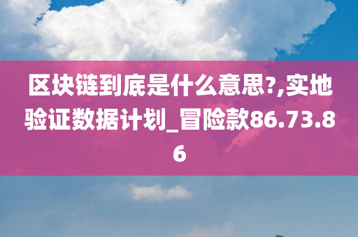 区块链到底是什么意思?,实地验证数据计划_冒险款86.73.86