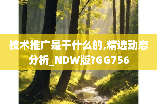 技术推广是干什么的,精选动态分析_NDW版?GG756