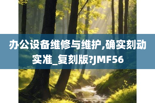 办公设备维修与维护,确实刻动实准_复刻版?JMF56