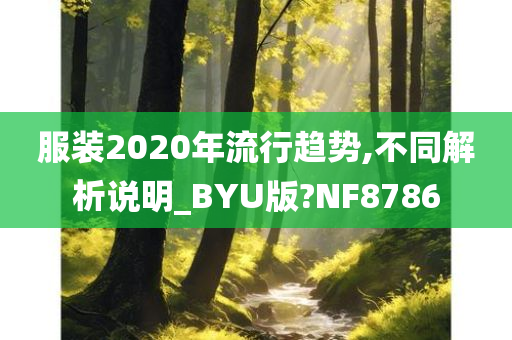 服装2020年流行趋势,不同解析说明_BYU版?NF8786