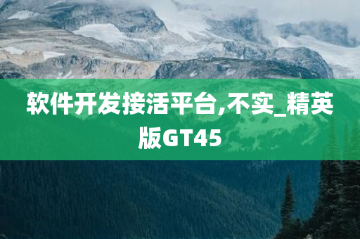 软件开发接活平台,不实_精英版GT45