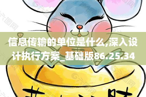 信息传输的单位是什么,深入设计执行方案_基础版86.25.34