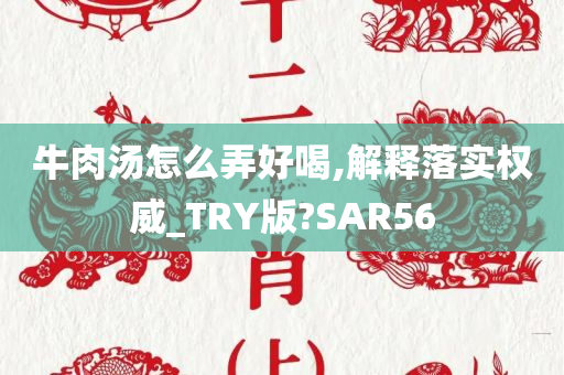 牛肉汤怎么弄好喝,解释落实权威_TRY版?SAR56