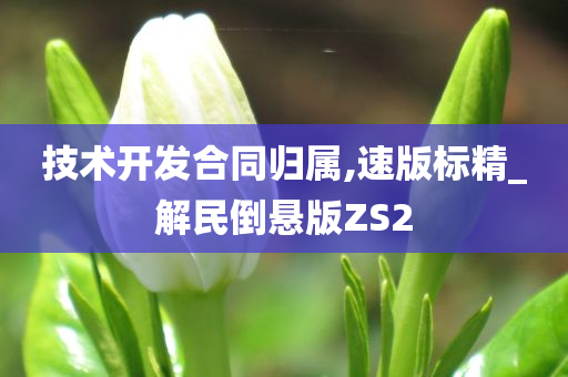 技术开发合同归属,速版标精_解民倒悬版ZS2