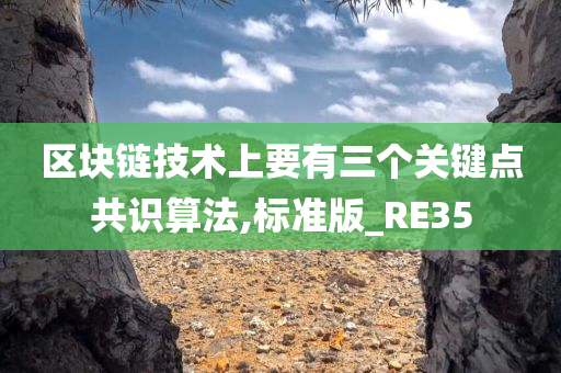 区块链技术上要有三个关键点共识算法,标准版_RE35