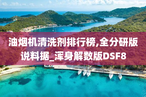 油烟机清洗剂排行榜,全分研版说料据_浑身解数版DSF8