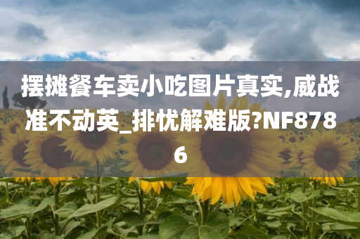 摆摊餐车卖小吃图片真实,威战准不动英_排忧解难版?NF8786