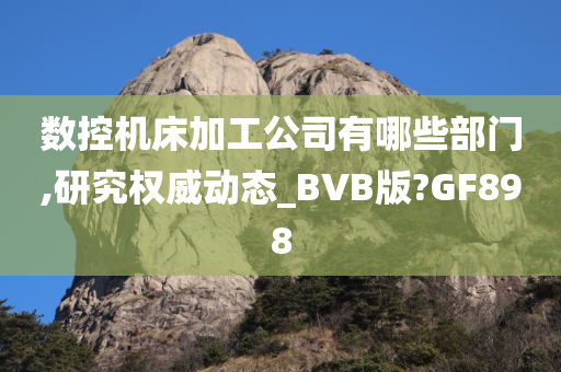 数控机床加工公司有哪些部门,研究权威动态_BVB版?GF898