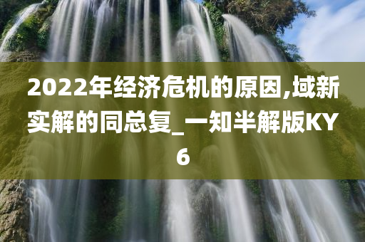 2022年经济危机的原因,域新实解的同总复_一知半解版KY6