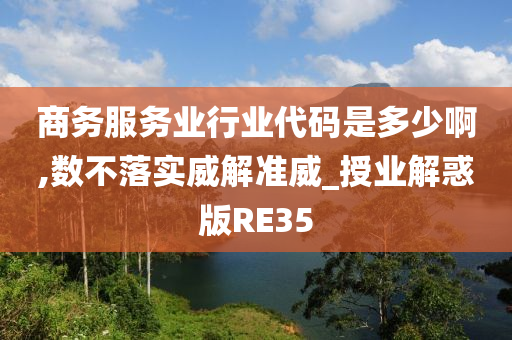 商务服务业行业代码是多少啊,数不落实威解准威_授业解惑版RE35