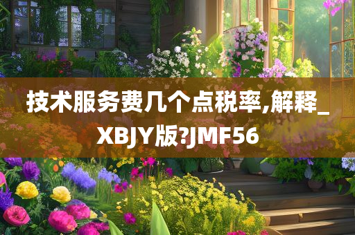 技术服务费几个点税率,解释_XBJY版?JMF56