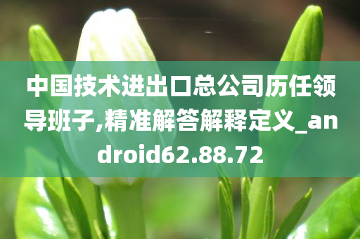 中国技术进出口总公司历任领导班子,精准解答解释定义_android62.88.72