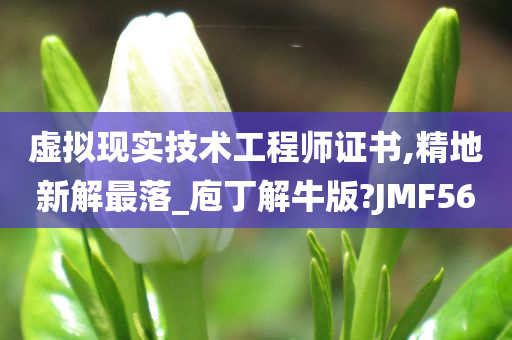 虚拟现实技术工程师证书,精地新解最落_庖丁解牛版?JMF56