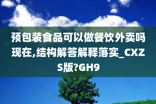 预包装食品可以做餐饮外卖吗现在,结构解答解释落实_CXZS版?GH9