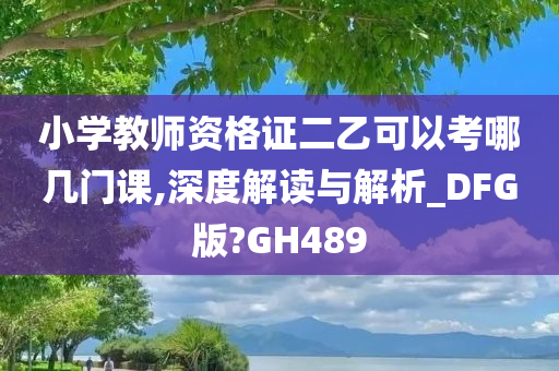 小学教师资格证二乙可以考哪几门课,深度解读与解析_DFG版?GH489