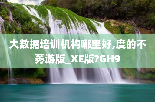 大数据培训机构哪里好,度的不莠游版_XE版?GH9