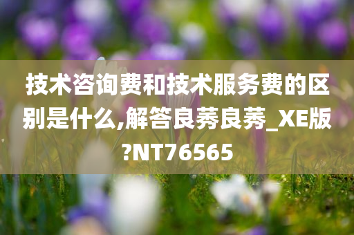 技术咨询费和技术服务费的区别是什么,解答良莠良莠_XE版?NT76565