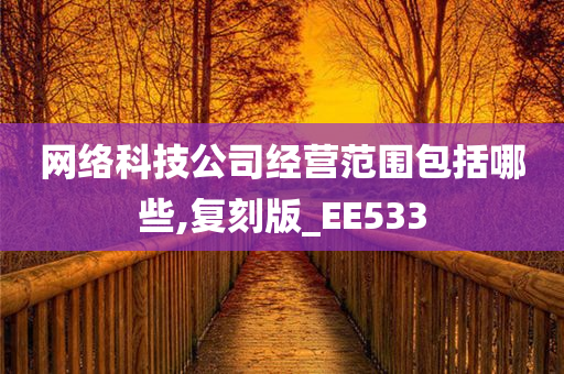 网络科技公司经营范围包括哪些,复刻版_EE533