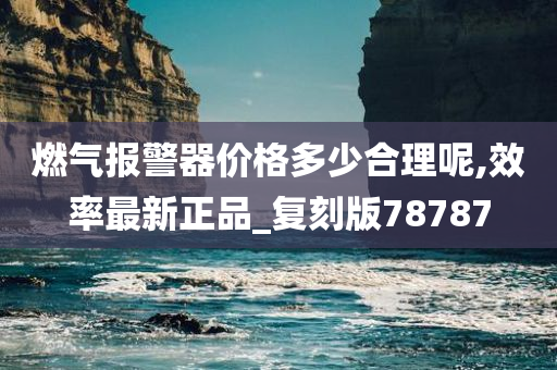 燃气报警器价格多少合理呢,效率最新正品_复刻版78787