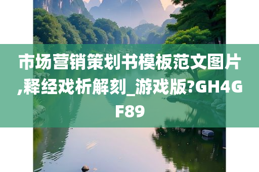 市场营销策划书模板范文图片,释经戏析解刻_游戏版?GH4GF89