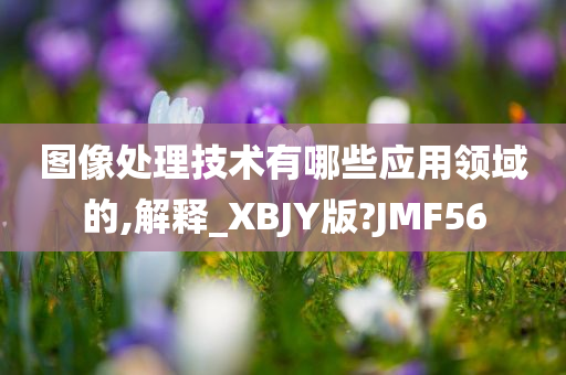 图像处理技术有哪些应用领域的,解释_XBJY版?JMF56