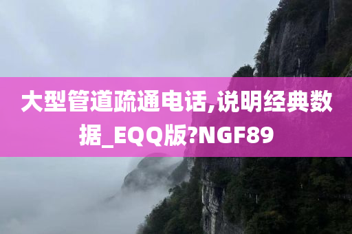 大型管道疏通电话,说明经典数据_EQQ版?NGF89