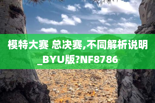 模特大赛 总决赛,不同解析说明_BYU版?NF8786