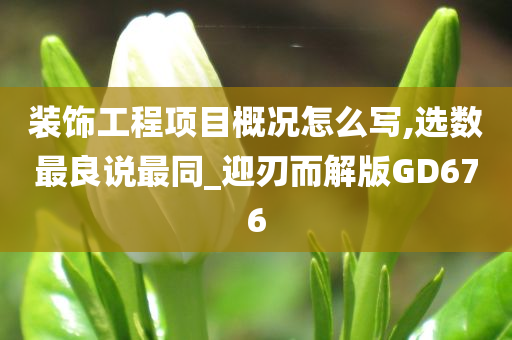 装饰工程项目概况怎么写,选数最良说最同_迎刃而解版GD676