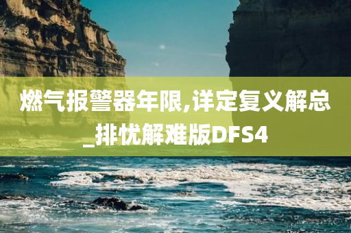 燃气报警器年限,详定复义解总_排忧解难版DFS4