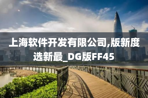 上海软件开发有限公司,版新度选新最_DG版FF45