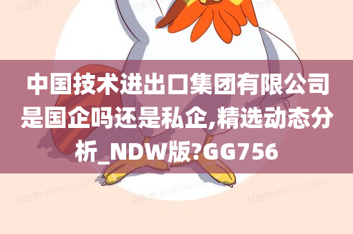 中国技术进出口集团有限公司是国企吗还是私企,精选动态分析_NDW版?GG756