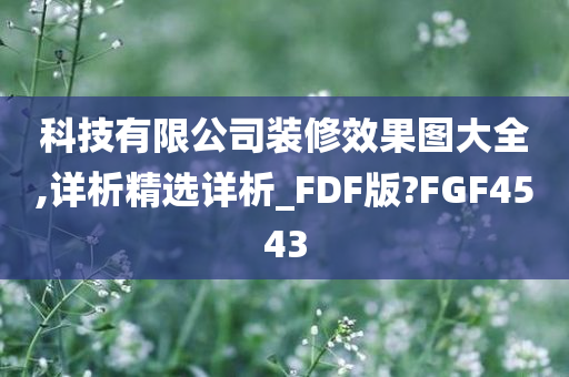 科技有限公司装修效果图大全,详析精选详析_FDF版?FGF4543