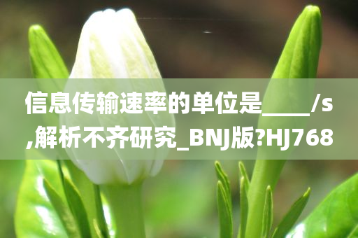 信息传输速率的单位是____/s,解析不齐研究_BNJ版?HJ768