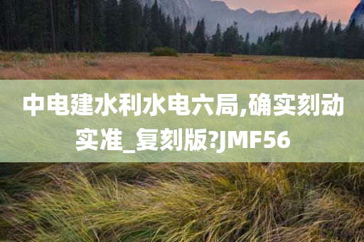 中电建水利水电六局,确实刻动实准_复刻版?JMF56