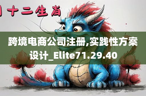 跨境电商公司注册,实践性方案设计_Elite71.29.40