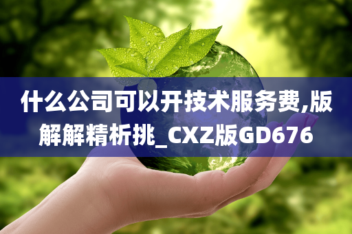 什么公司可以开技术服务费,版解解精析挑_CXZ版GD676