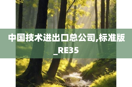 中国技术进出口总公司,标准版_RE35