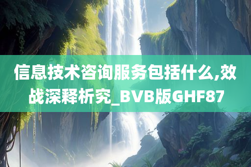 信息技术咨询服务包括什么,效战深释析究_BVB版GHF87