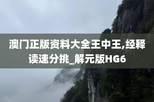 澳门正版资料大全王中王,经释读速分挑_解元版HG6